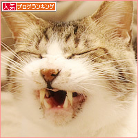 おばあちゃんズ_a0389088_18214880.jpg