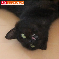 もしゃの電子書籍ができました!_a0389088_18222018.jpg
