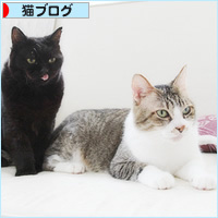 もしゃの電子書籍ができました!_a0389088_18222038.jpg