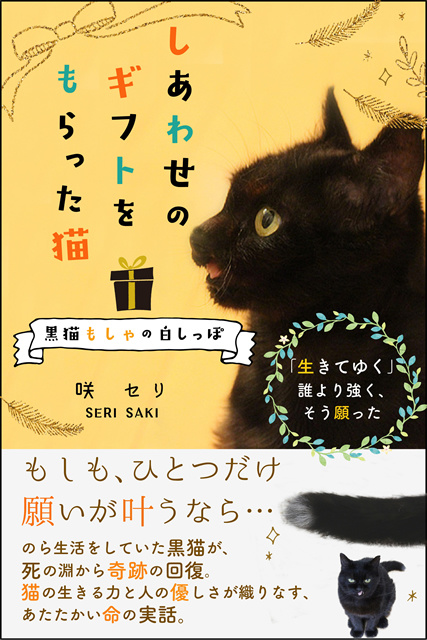 もしゃの電子書籍ができました!_a0389088_18222091.jpg