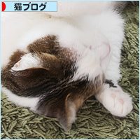 幸福な眠り_a0389088_18222570.jpg