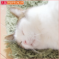 幸福な眠り_a0389088_18222597.jpg