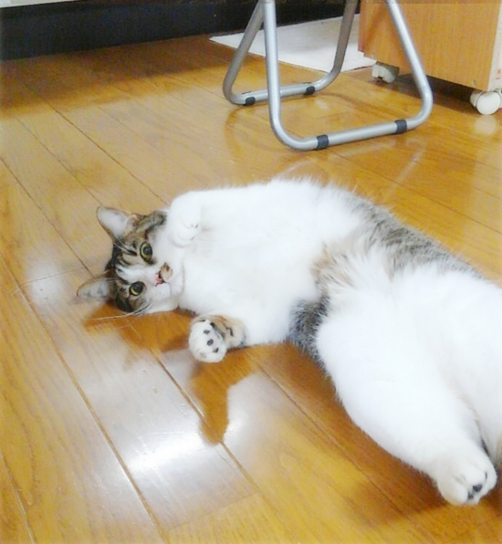 しあわせ通信_a0389088_18222969.jpg