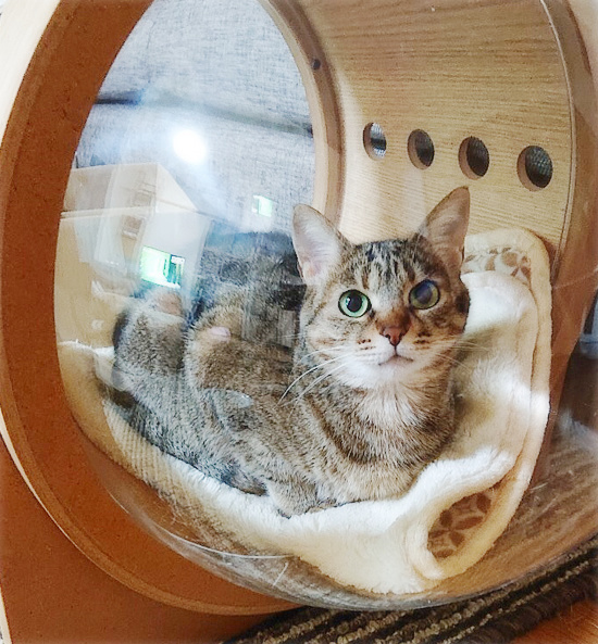 しあわせ通信_a0389088_18222971.jpg