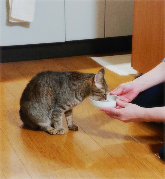 しあわせ通信_a0389088_18222976.jpg