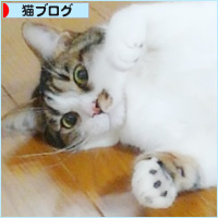 しあわせ通信_a0389088_18223021.jpg