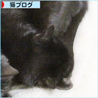 まさかのカップル_a0389088_18223108.jpg
