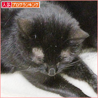 まさかのカップル_a0389088_18223173.jpg