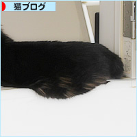ライオンのお腹_a0389088_18224101.jpg