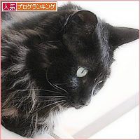 ライオンのお腹_a0389088_18224196.jpg