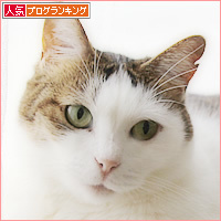 猫のモデル_a0389088_18224377.jpg