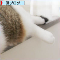 猫のモデル_a0389088_18224394.jpg