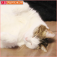 眠るから猫_a0389088_18224504.jpg