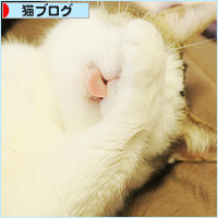 眠るから猫_a0389088_18224555.jpg