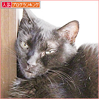 見守り隊_a0389088_18224616.jpg