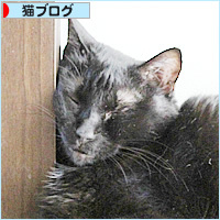 見守り隊_a0389088_18224786.jpg