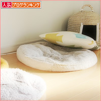 猫のためなら、えんやこ~ら_a0389088_18224838.jpg