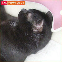 猫音頭_a0389088_18225042.jpg