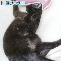 猫音頭_a0389088_18225137.jpg