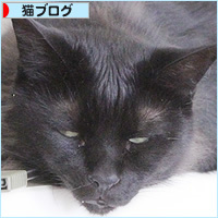 ナマケモノのお昼寝_a0389088_18225151.jpg