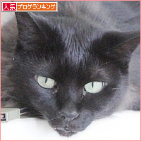 ナマケモノのお昼寝_a0389088_18225192.jpg