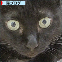 初体験_a0389088_18225210.jpg