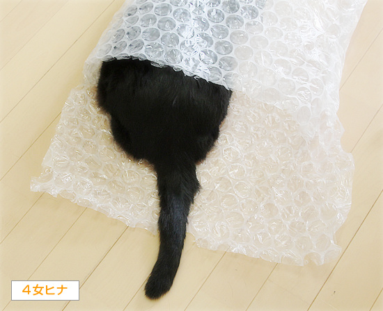 初体験_a0389088_18225283.jpg