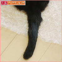 初体験_a0389088_18225286.jpg