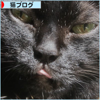 美貌を保つヒケツ_a0389088_18225354.jpg