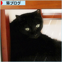 黒縞カプセルホテル_a0389088_18225697.jpg