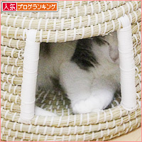 初メルカリ?_a0389088_18225944.jpg