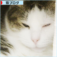 初メルカリ?_a0389088_18230054.jpg