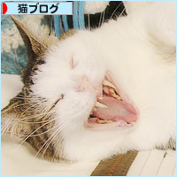魅惑のアレ_a0389088_18230754.jpg