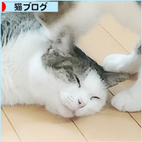 しろちゃんスイッチ_a0389088_18232323.jpg