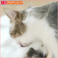 しろちゃんスイッチ_a0389088_18232326.jpg