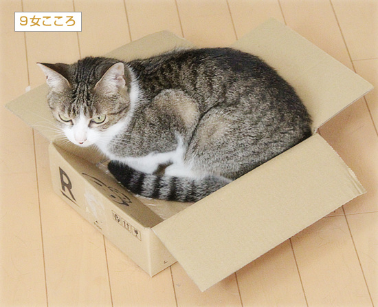 箱は誰のもの?_a0389088_18232878.jpg