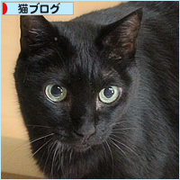 箱は誰のもの?_a0389088_18232907.jpg