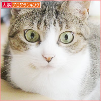 箱は誰のもの?_a0389088_18232929.jpg