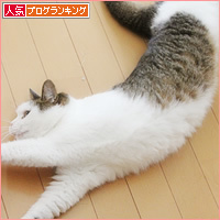 もしゃの夏毛_a0389088_18233022.jpg
