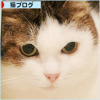 雷雨の猫たち_a0389088_18233137.jpg