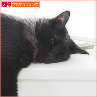 アイドルポーズ_a0389088_18233161.jpg