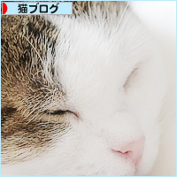 暑さ対策_a0389088_18233304.jpg