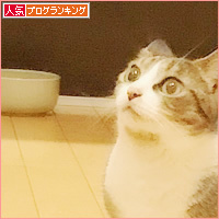 もしゃの面影_a0389088_18233939.jpg