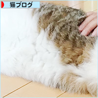 暑い・・・?熱い・・・?_a0389088_18233941.jpg