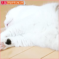 暑い・・・?熱い・・・?_a0389088_18233956.jpg