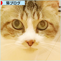 もしゃの面影_a0389088_18233987.jpg