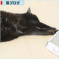 暑いぞデモ_a0389088_18234010.jpg