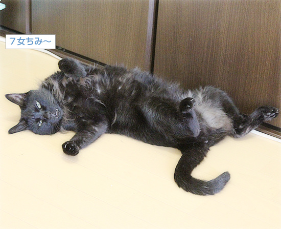 暑いぞデモ_a0389088_18234017.jpg