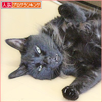 暑いぞデモ_a0389088_18234092.jpg