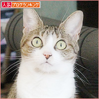 痩せなくていいカラダ_a0389088_18234118.jpg